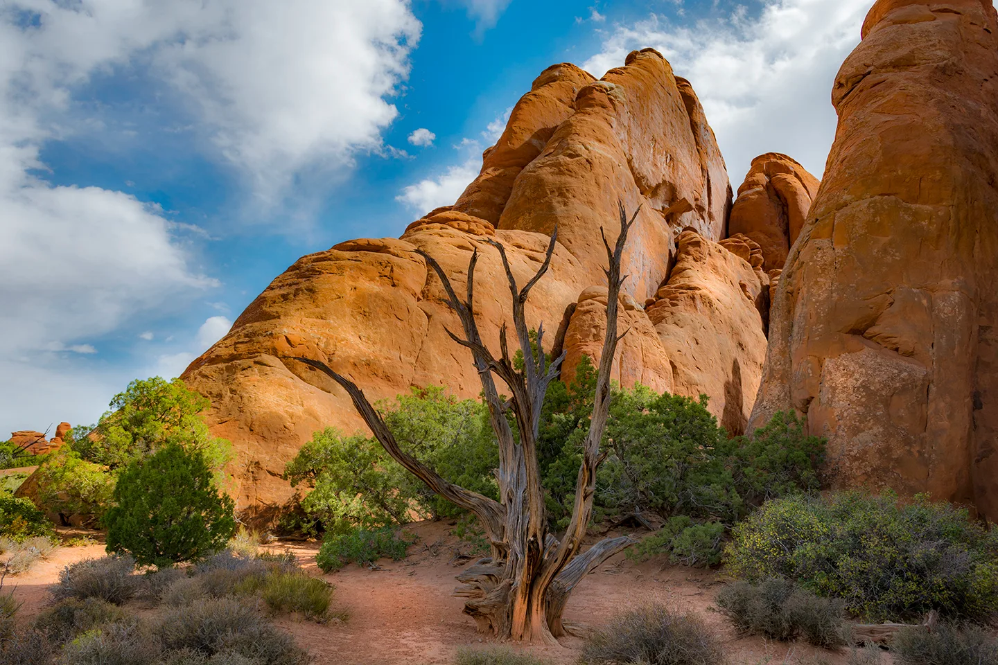 Arches 24