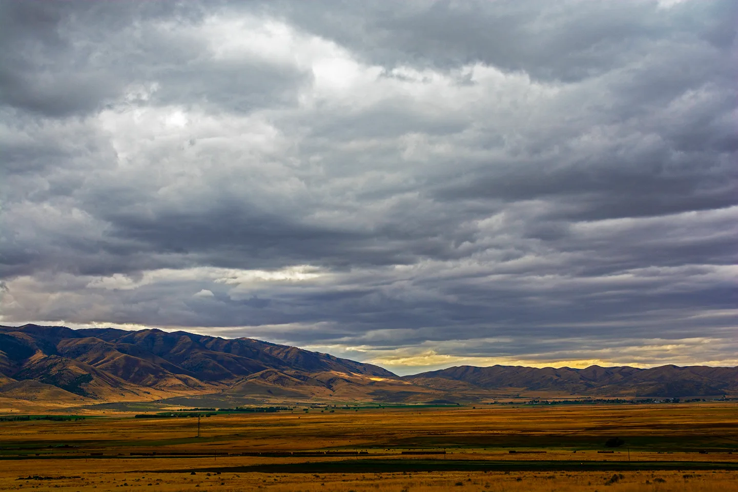 Idaho 2020 3