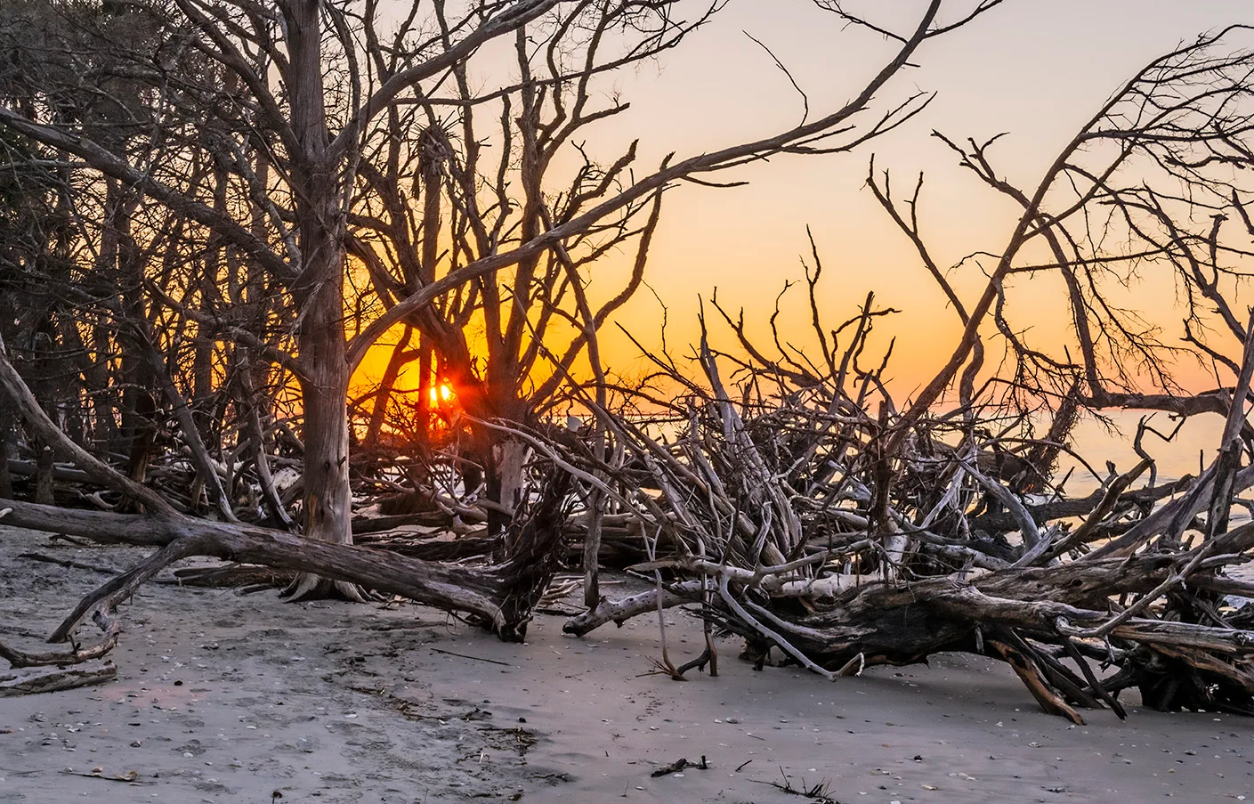 Edistosunrise 43