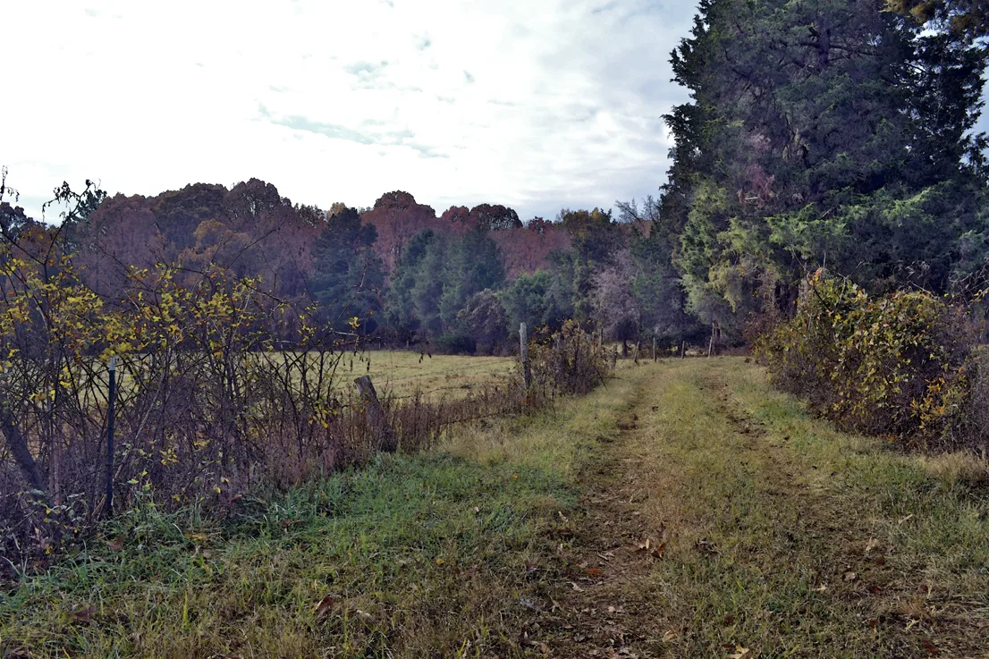 Poteat Road 3