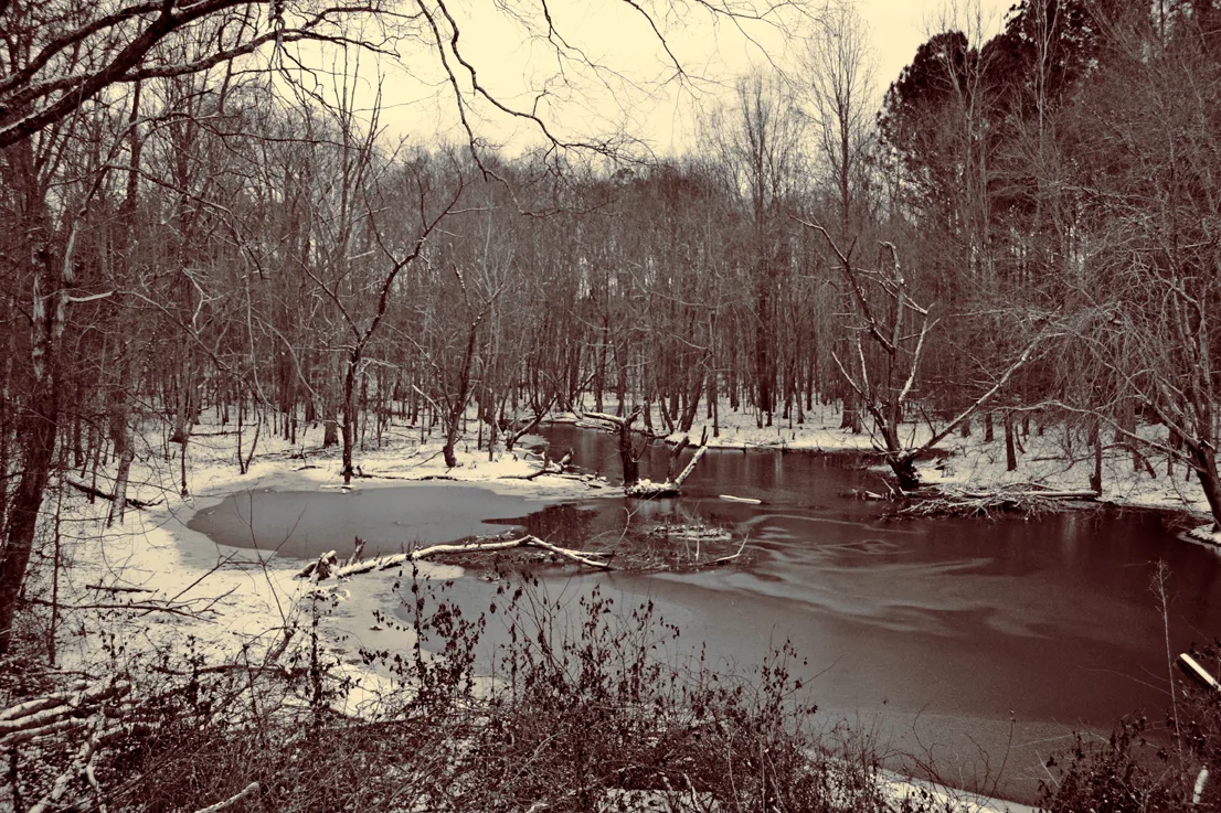 Snow 24