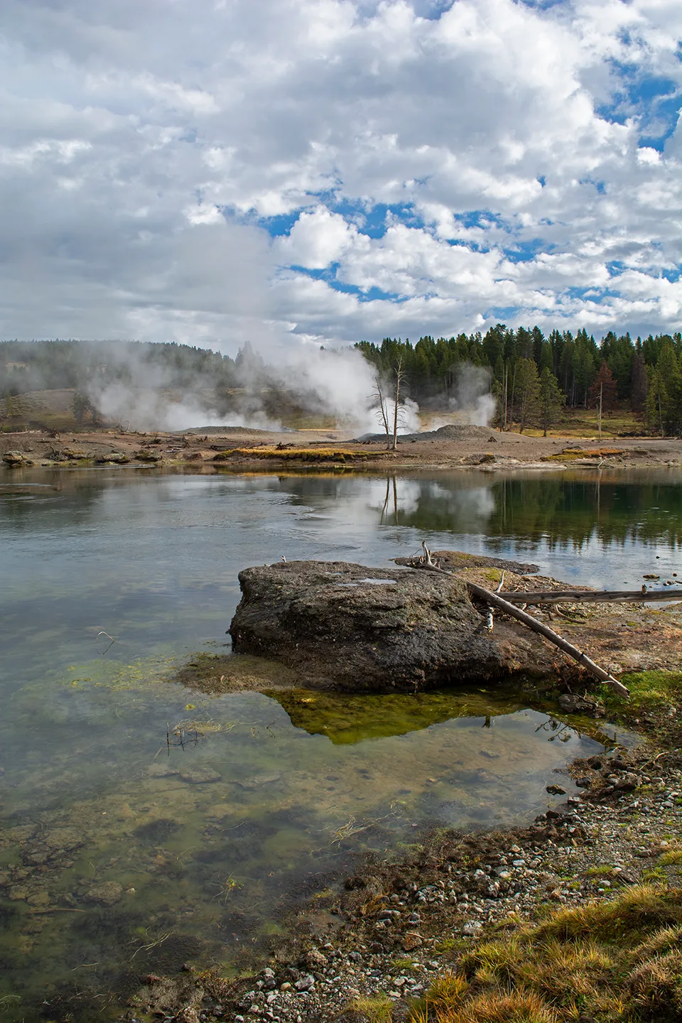 Yellowstone 2020 1