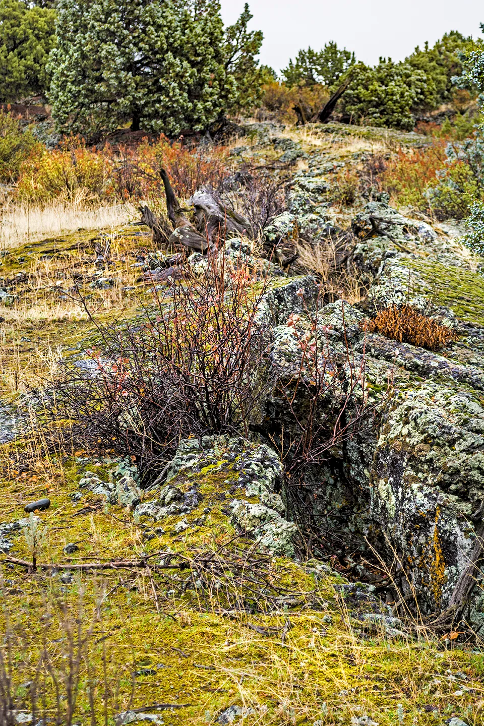 Idaholavafield 5