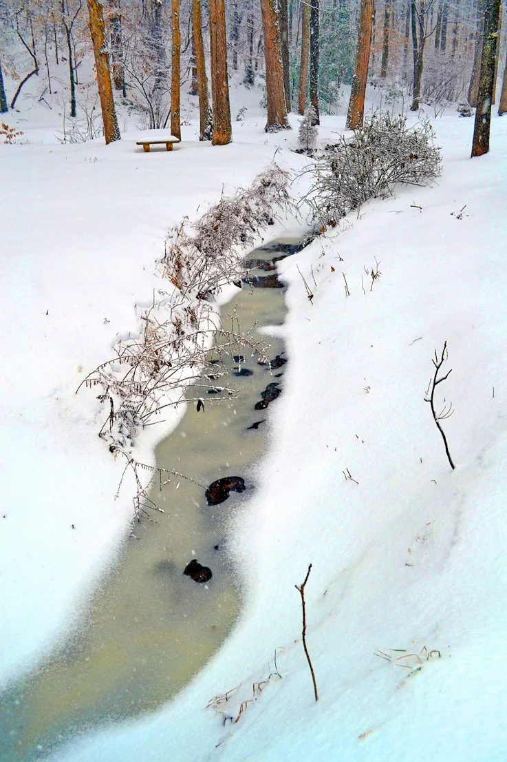 Yard Snow 6