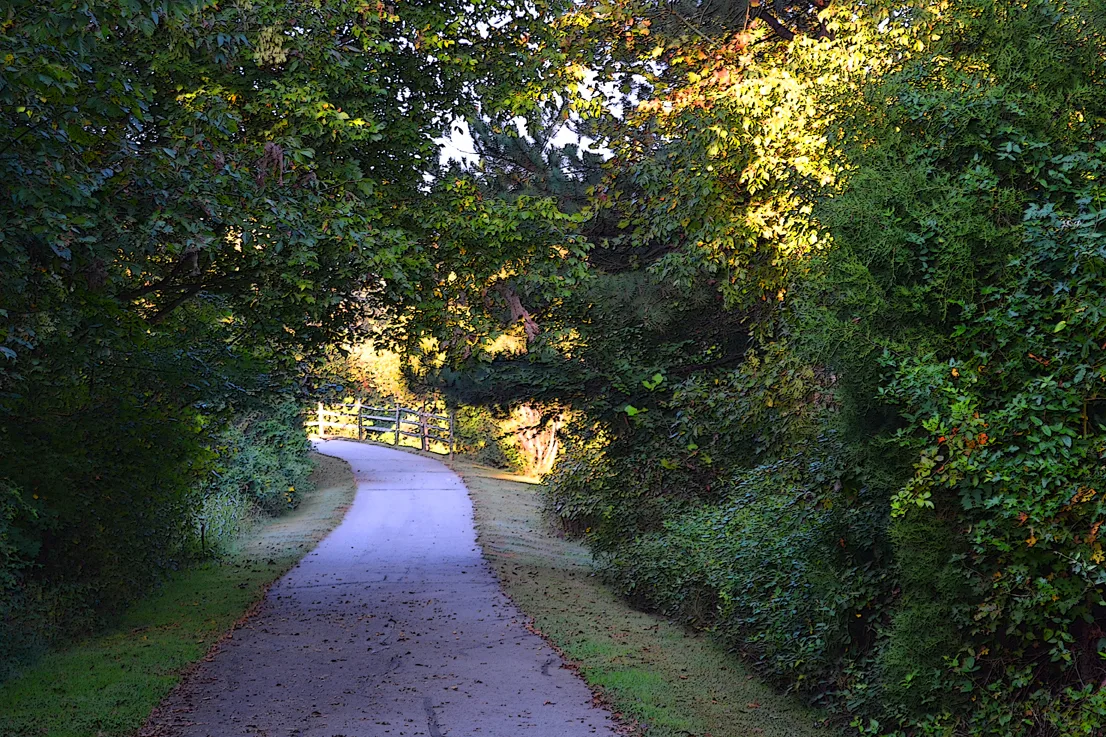 Trail 2