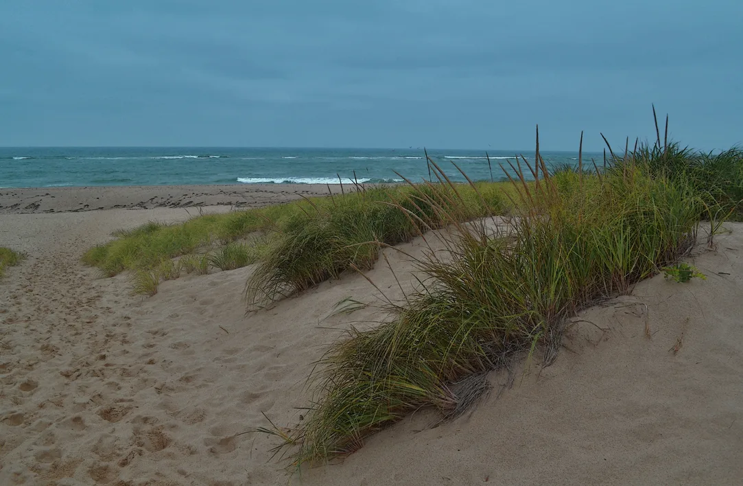 Cape Cod 14