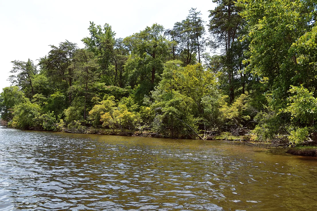 Yadkin-Peedee 30