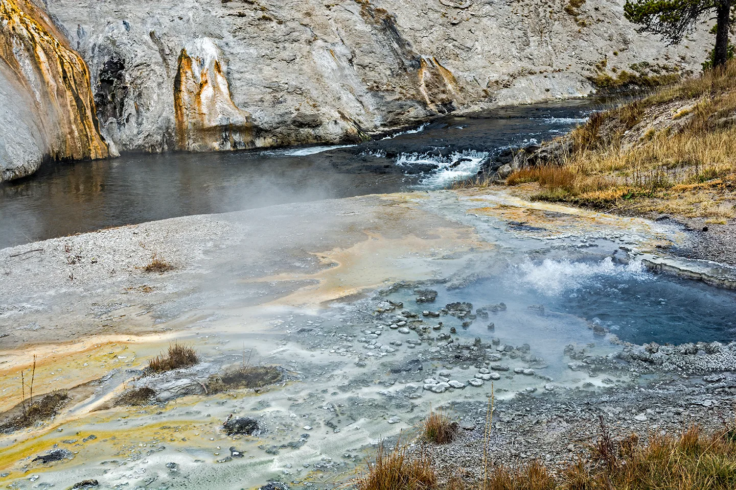 Yellowstone 4