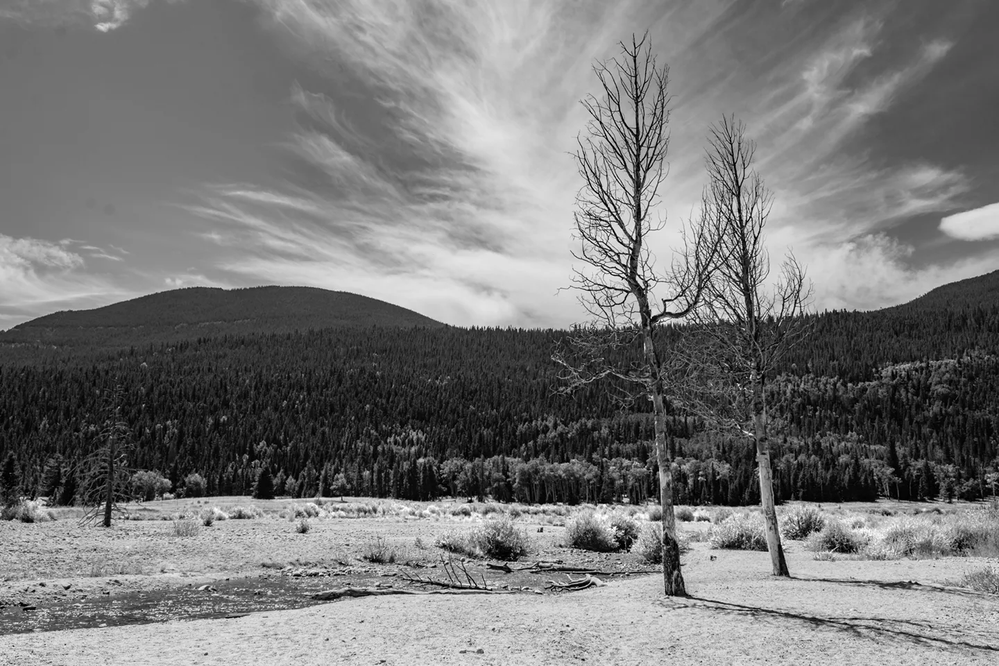 Estes 1 B&W