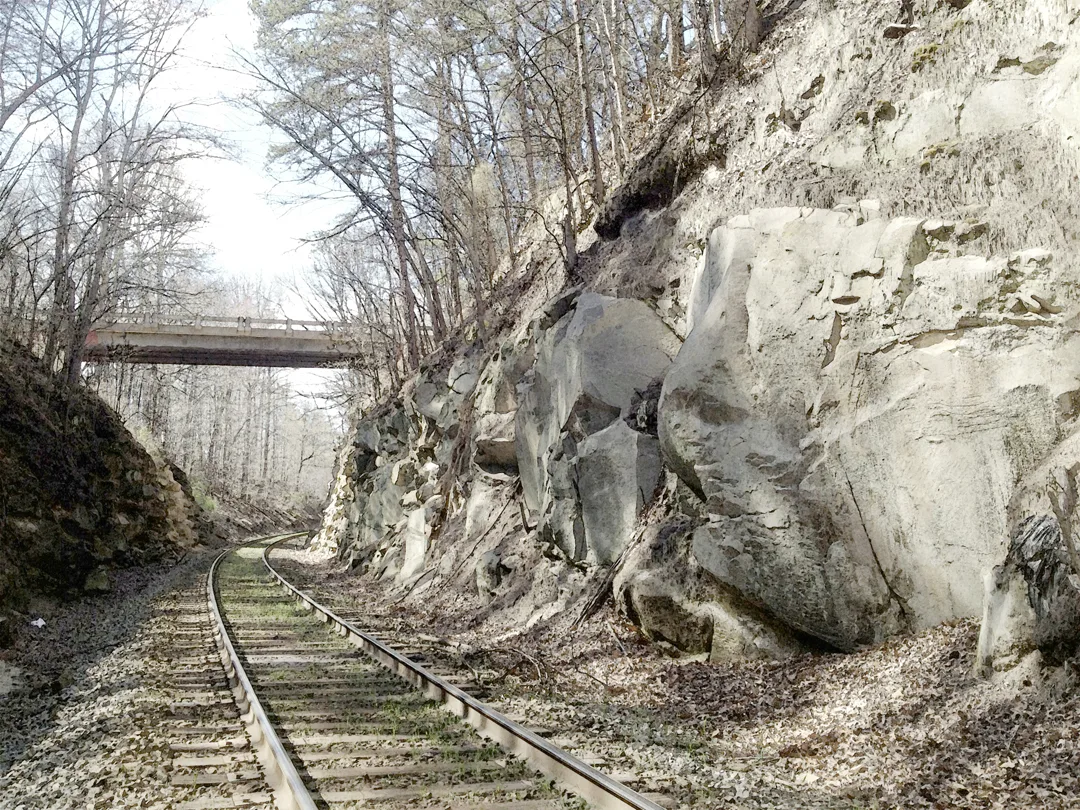 RR Track 5