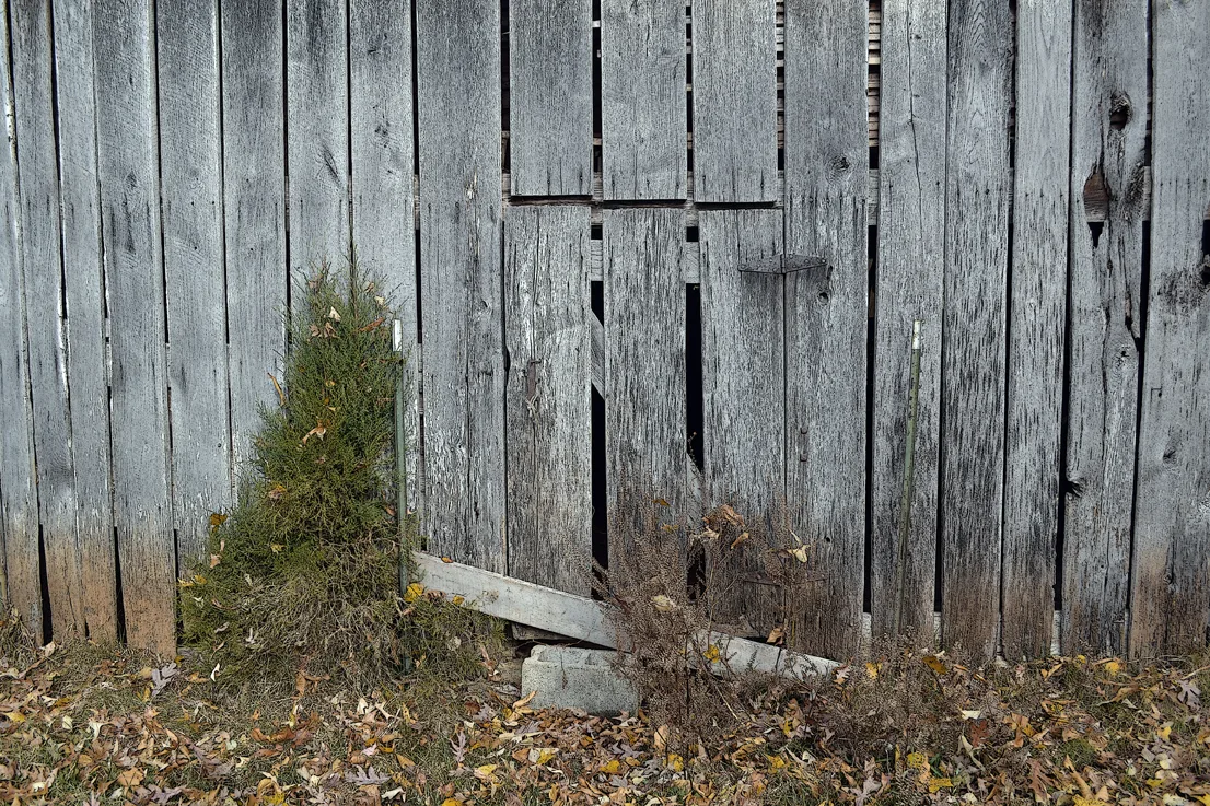 Barnside