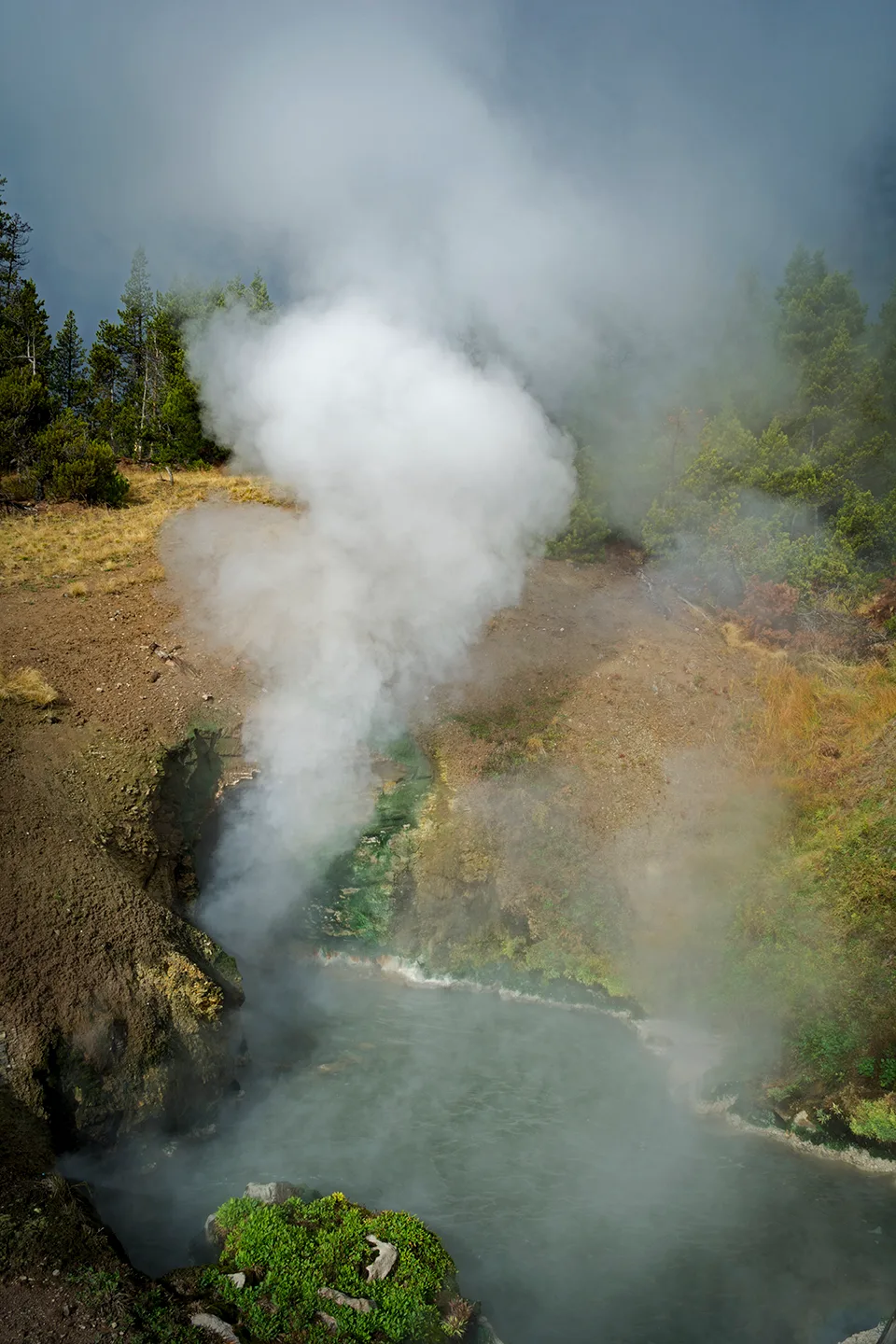 Yellowstone 36