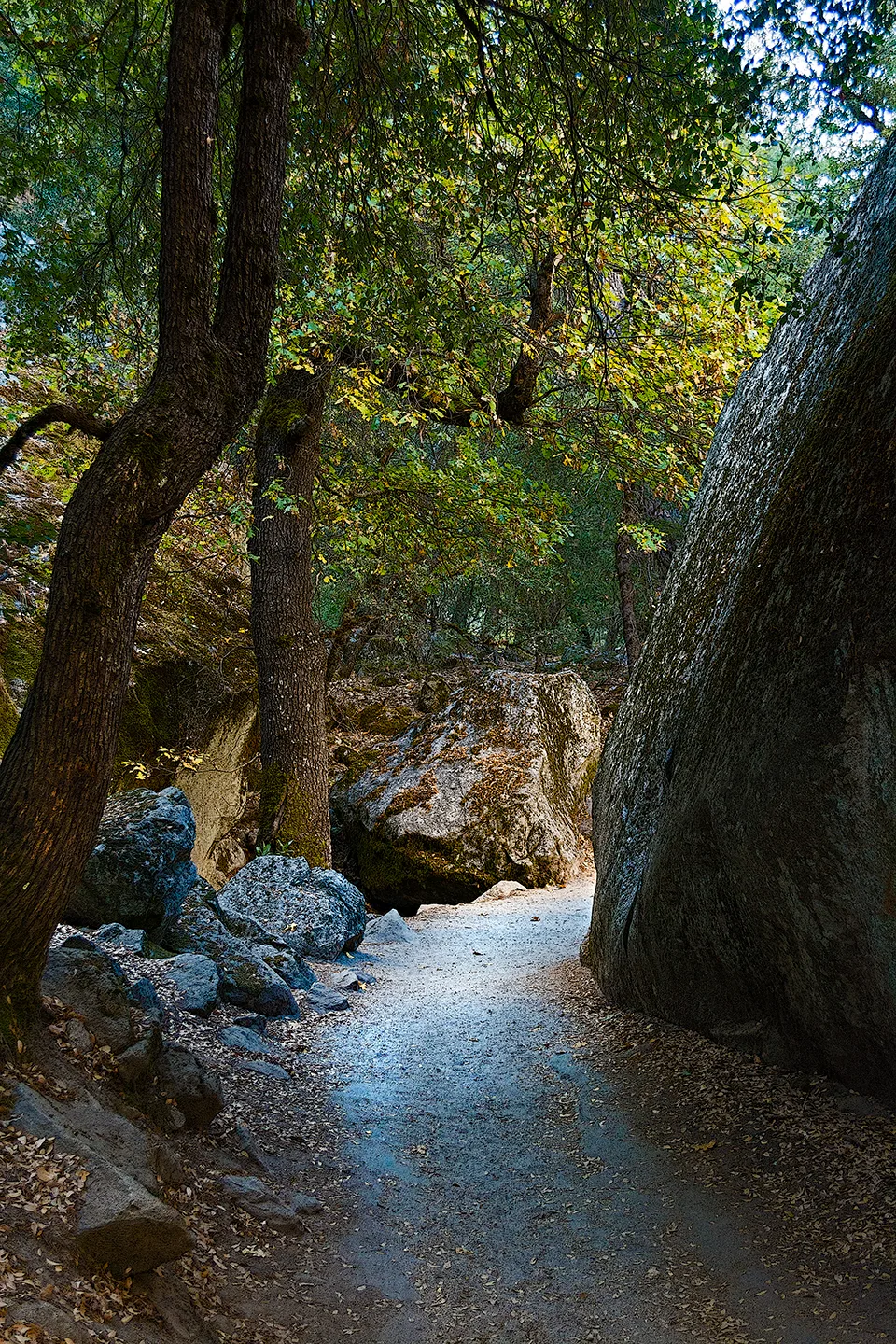 Yosemite 63