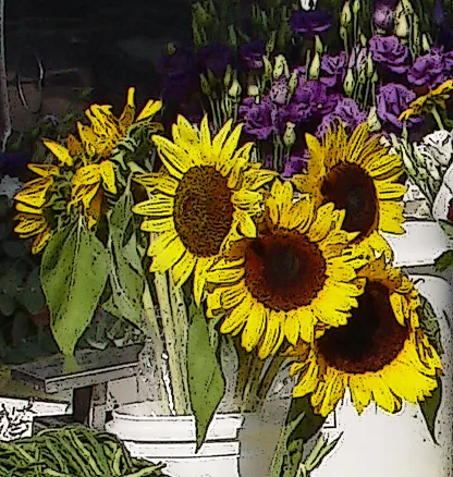 Sunflowers 2