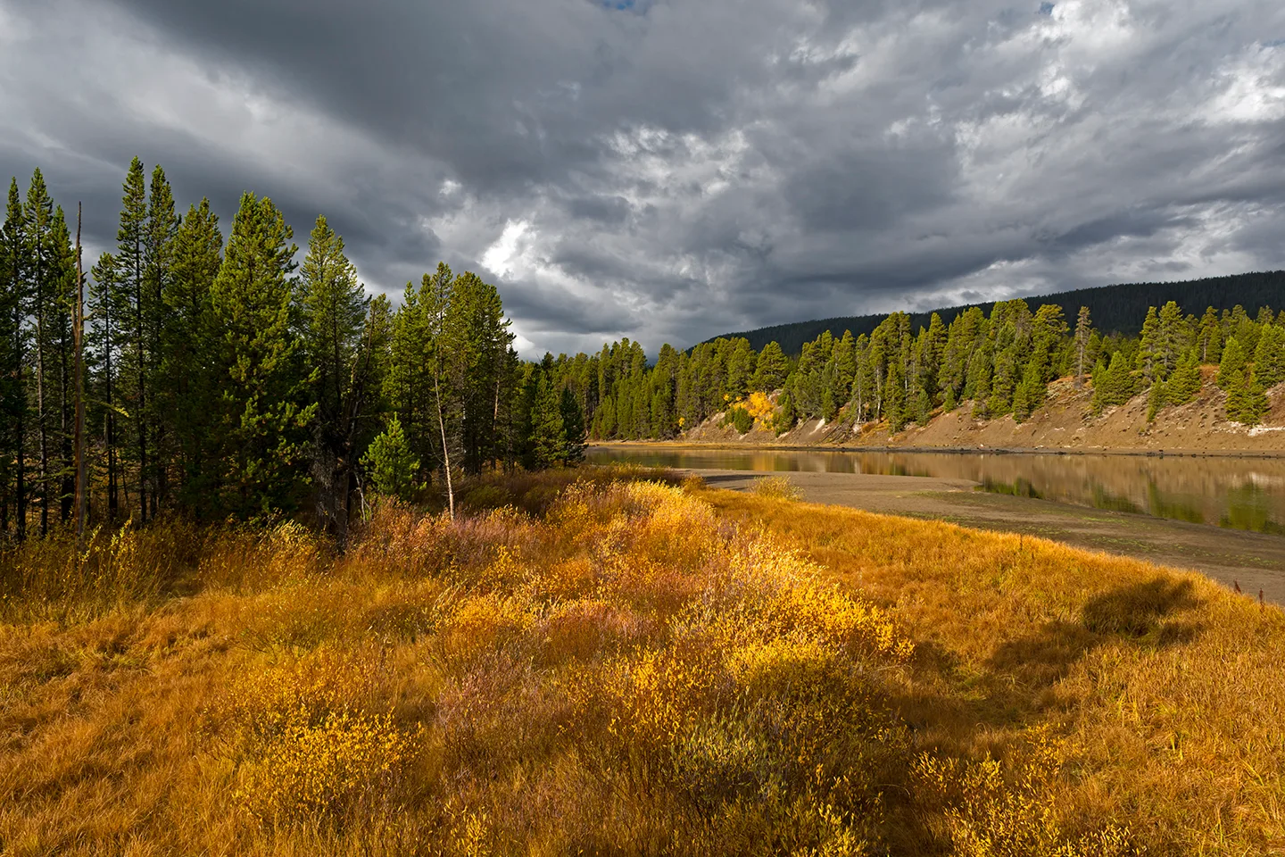 Yellowstone 51