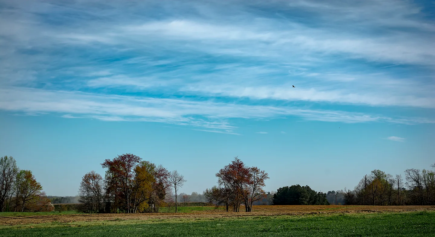 Woodleaffarm 1