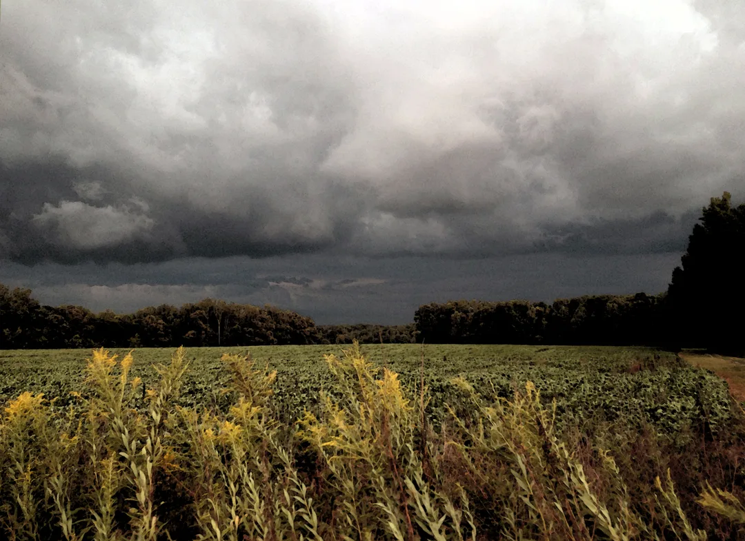Storm Front 3 warm