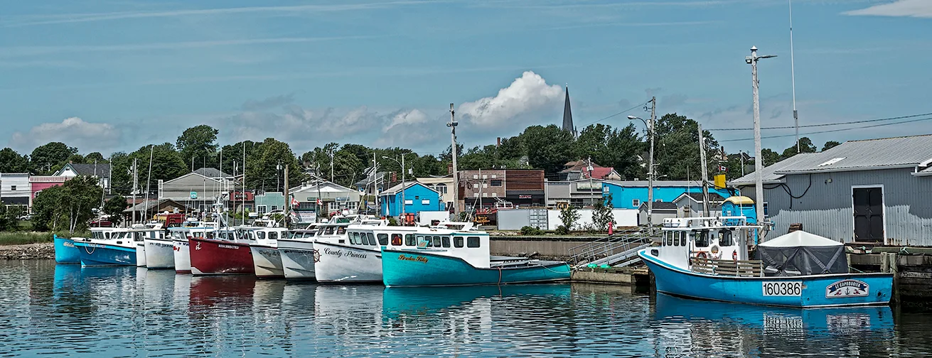 Northsidneyns 8