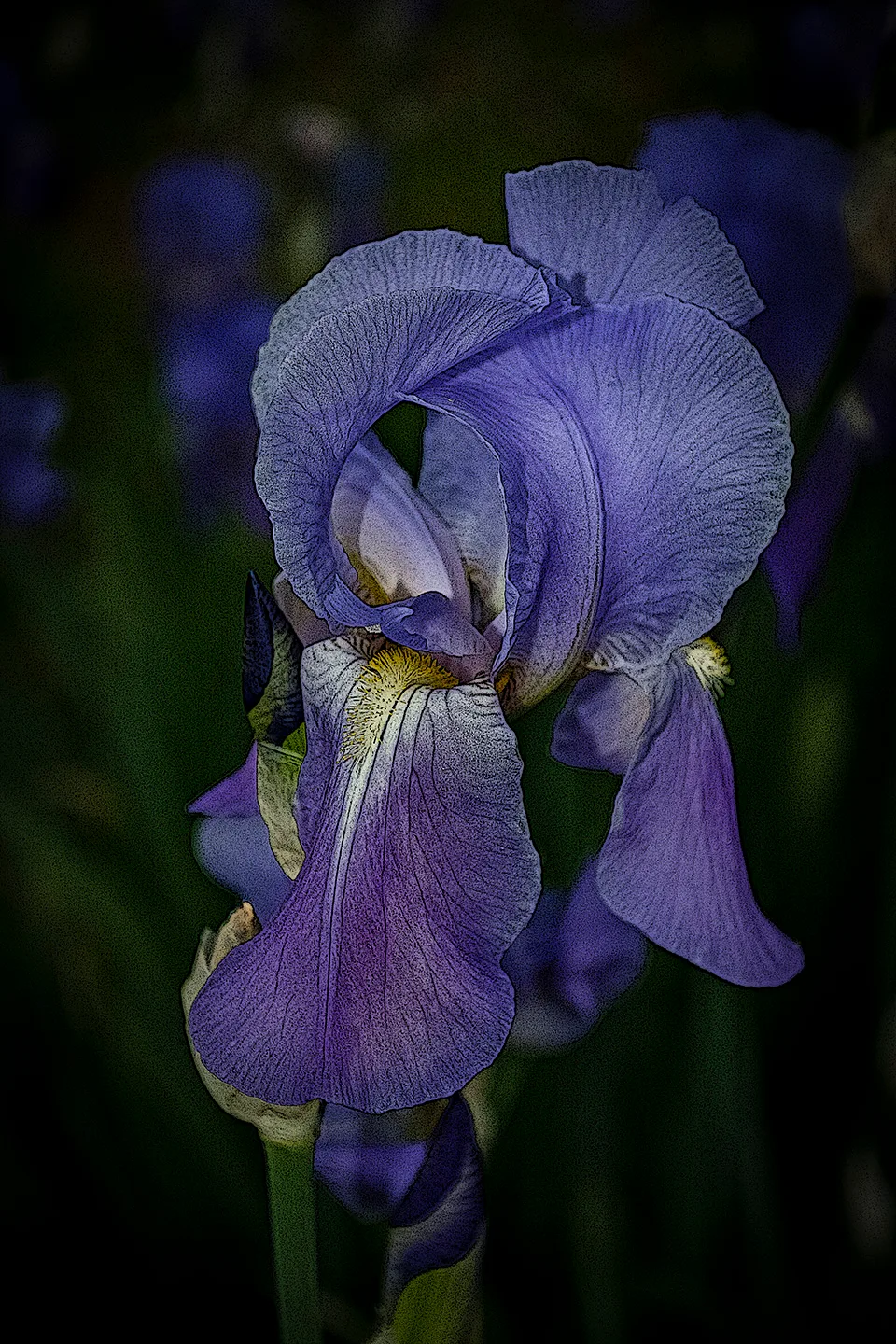 Irisposter
