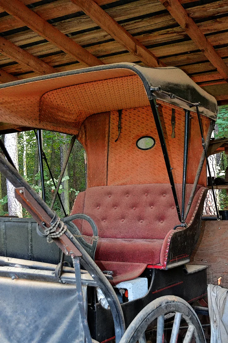 Buggie