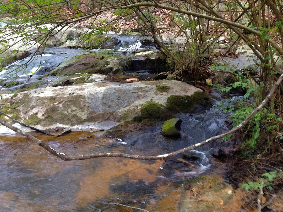 Uwharrie 4