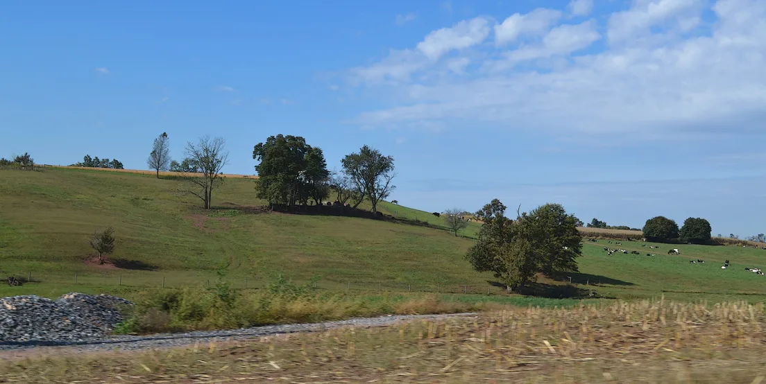 Green Mtns 1