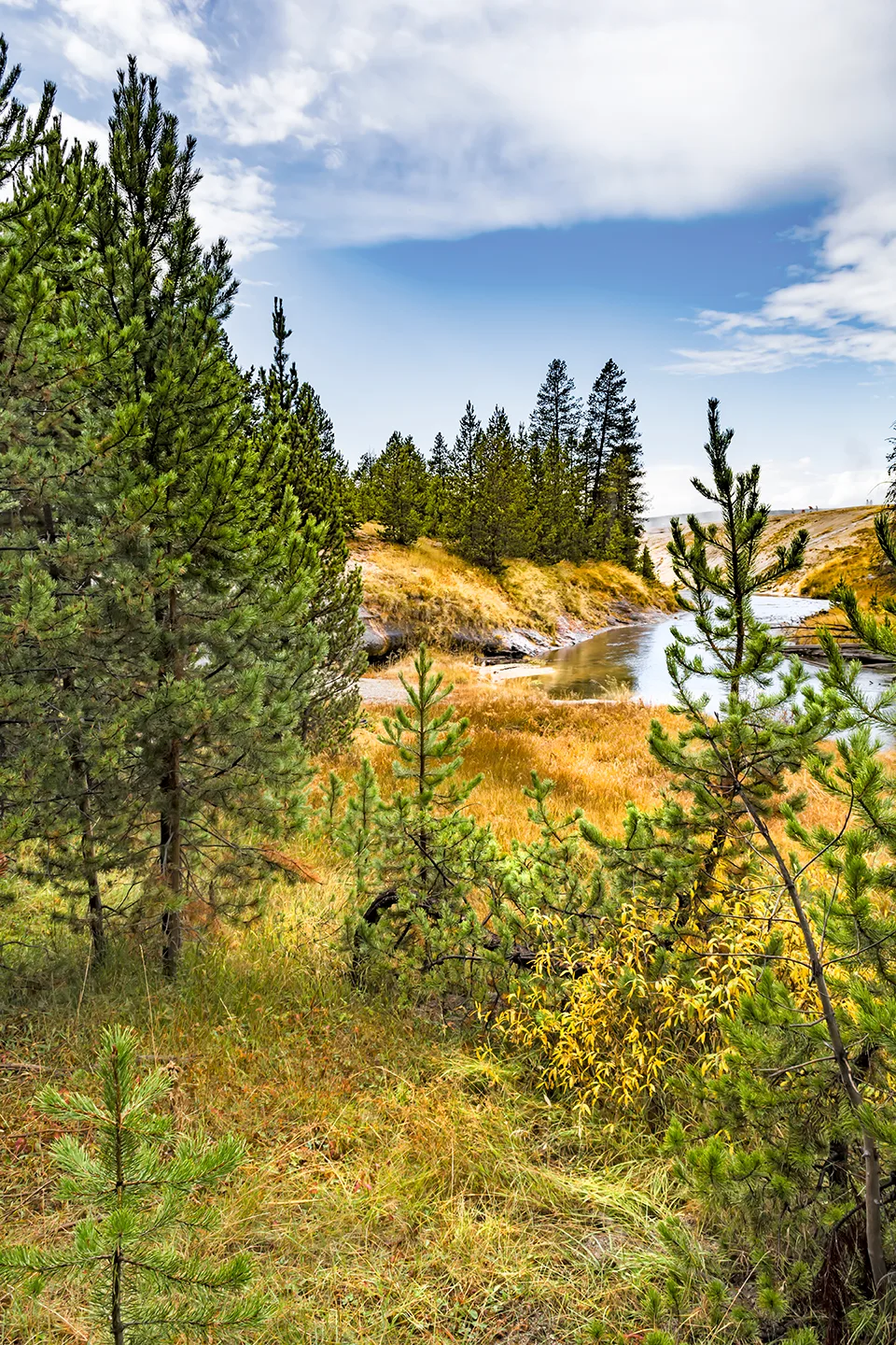 Yellowstone 7