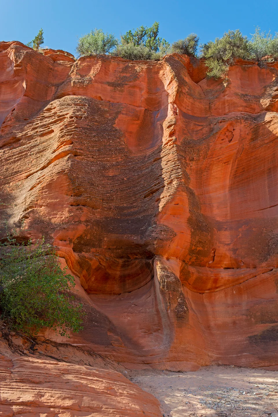 Peekaboo 14