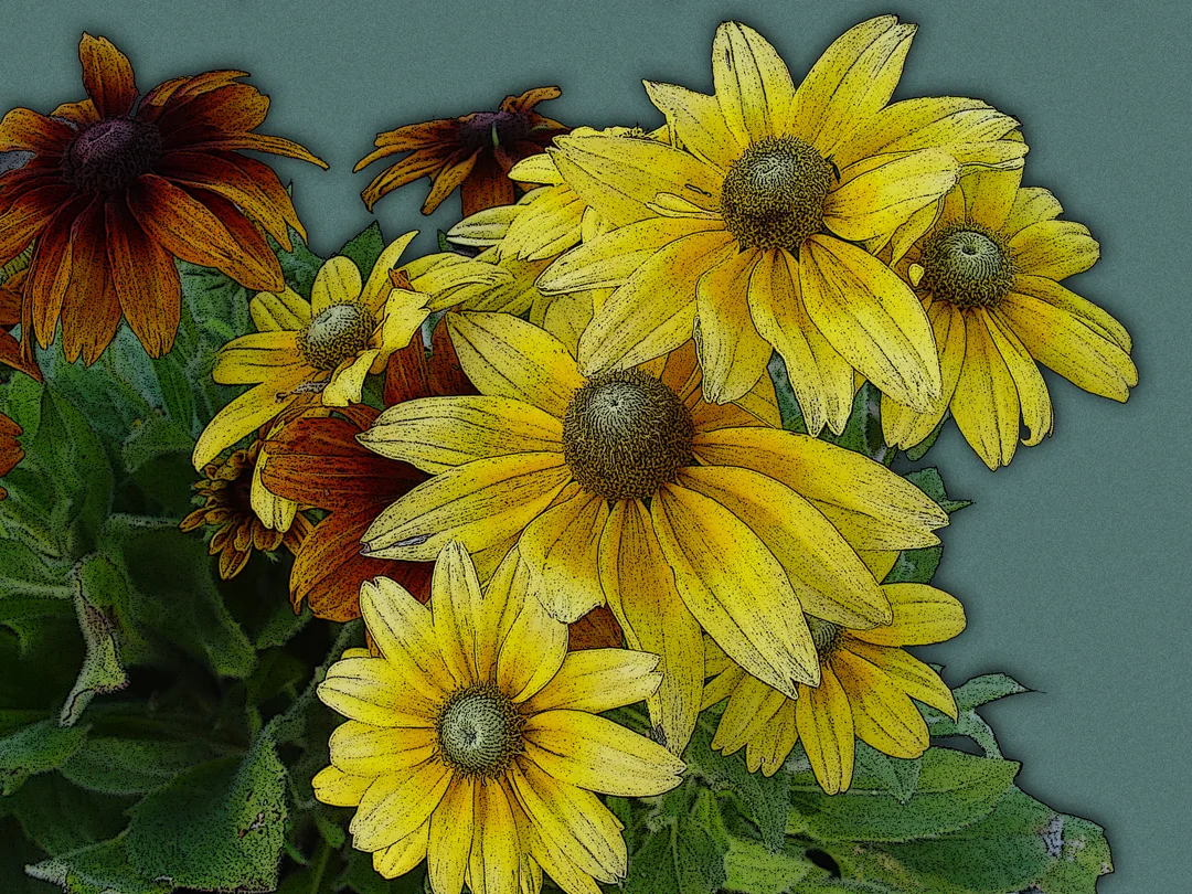 Daisies