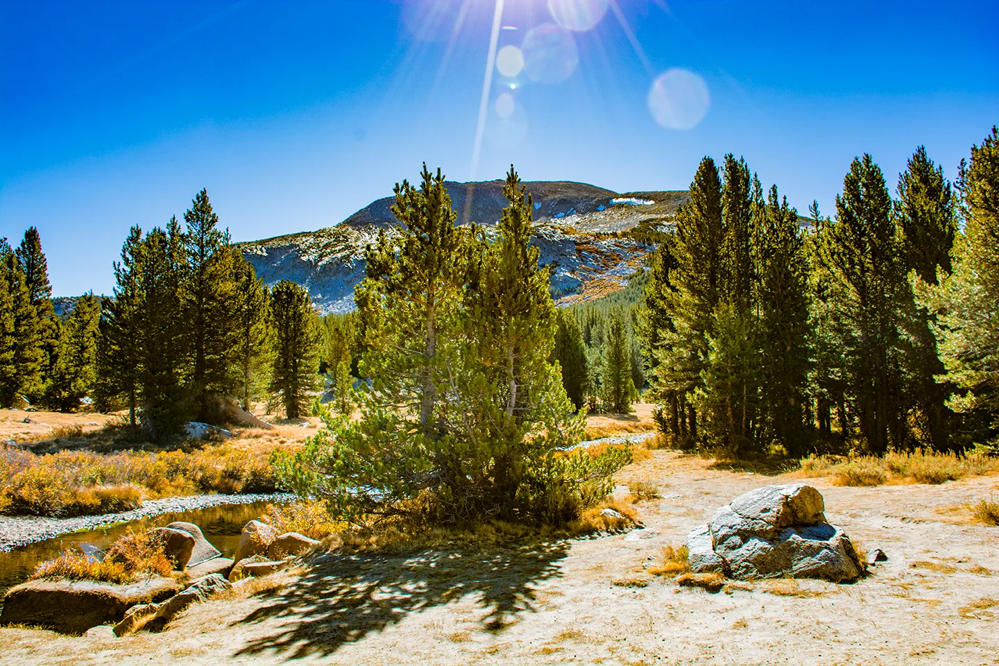 Yosemite 24