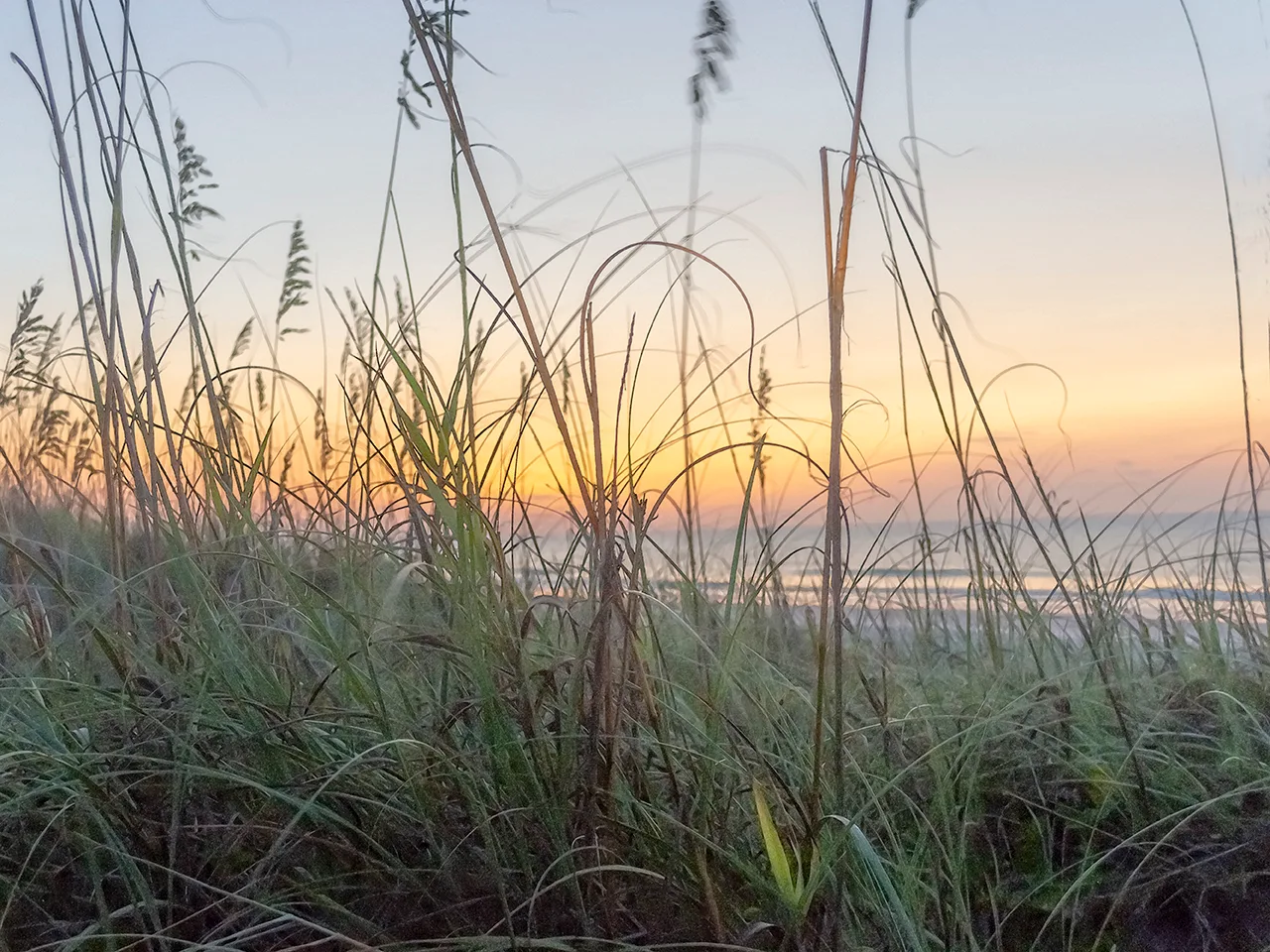 Sunrisehbsp 38