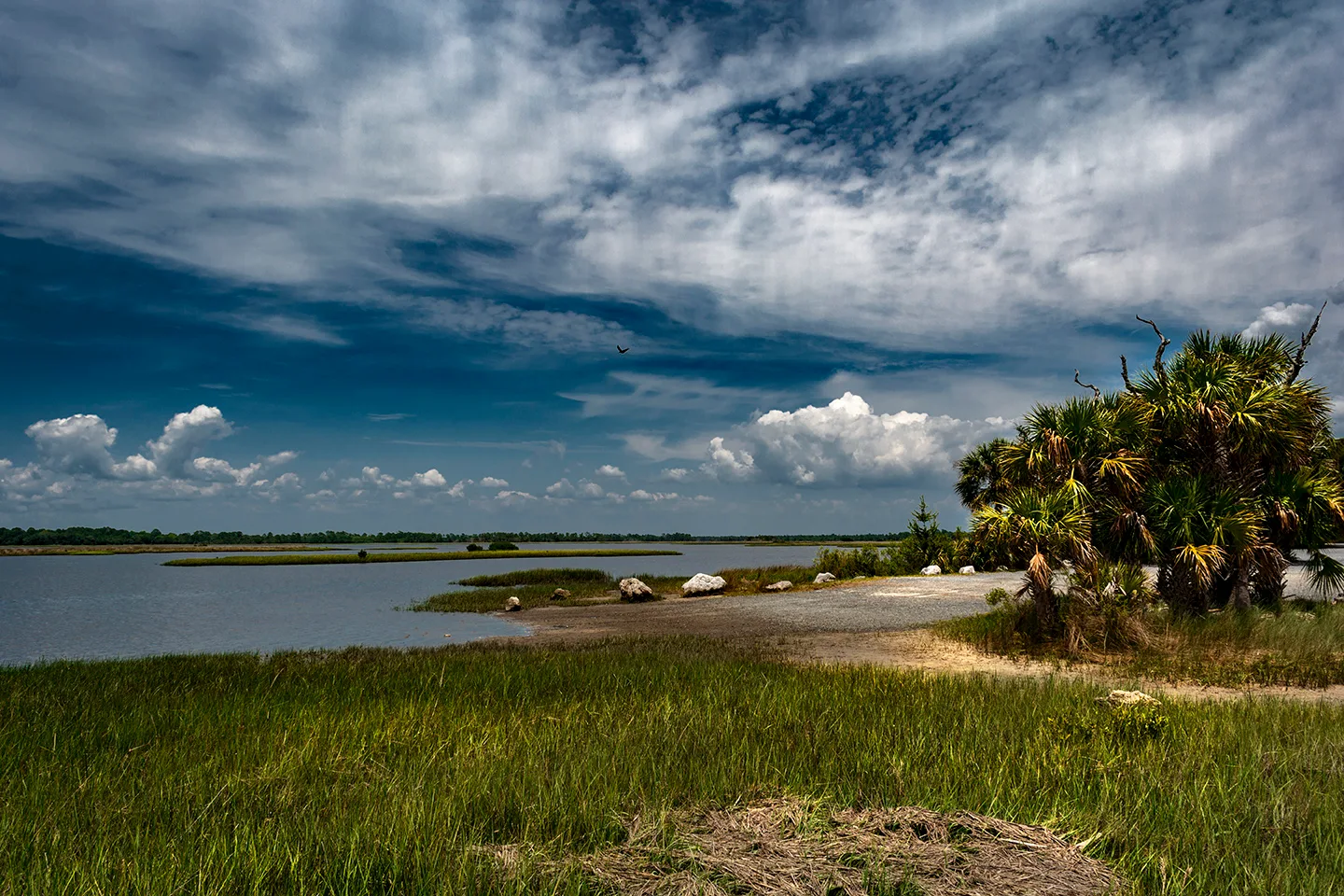 Cedarkey 11