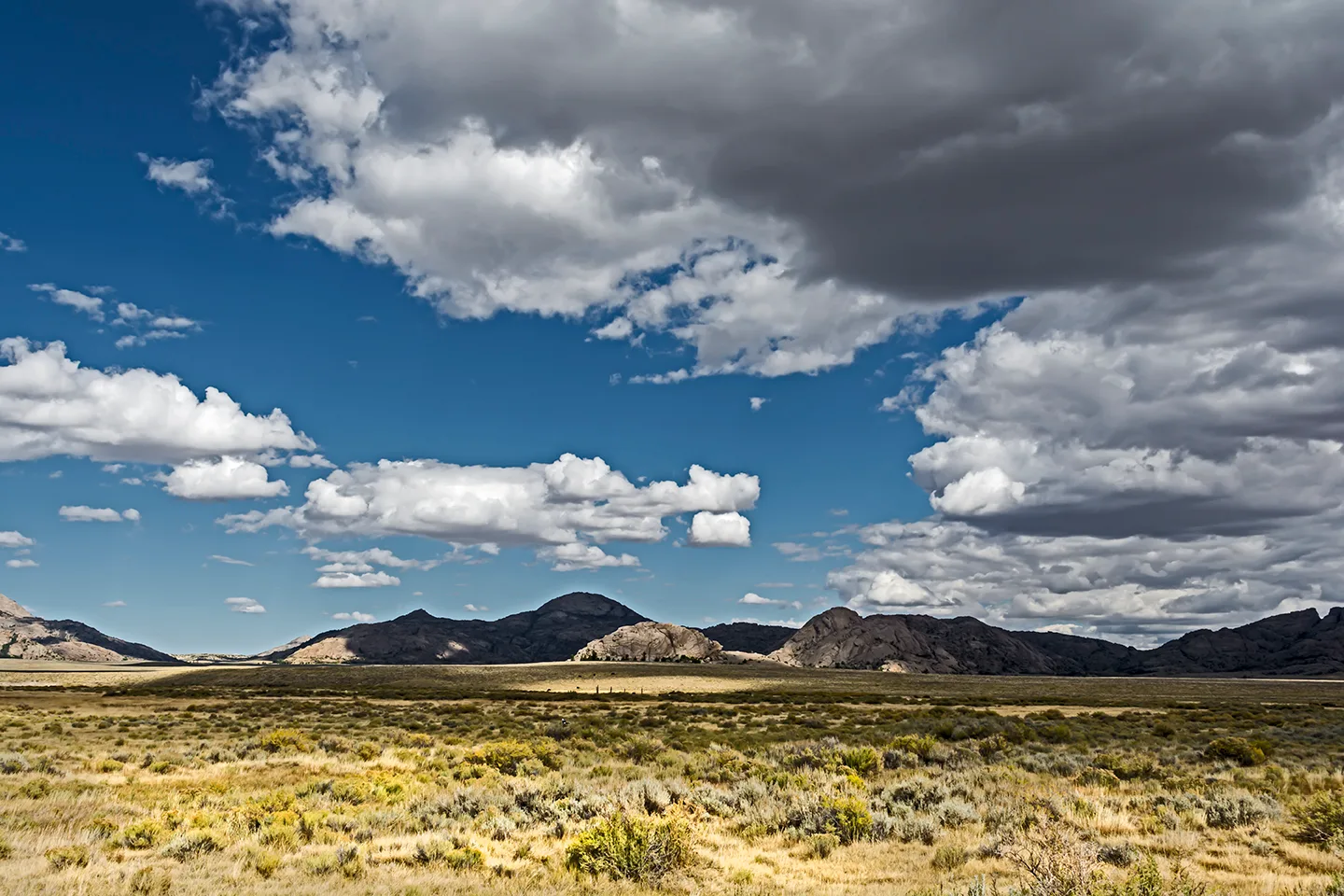 Wyoming 14