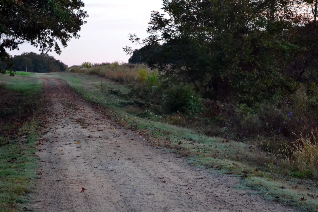 Cc Road 2