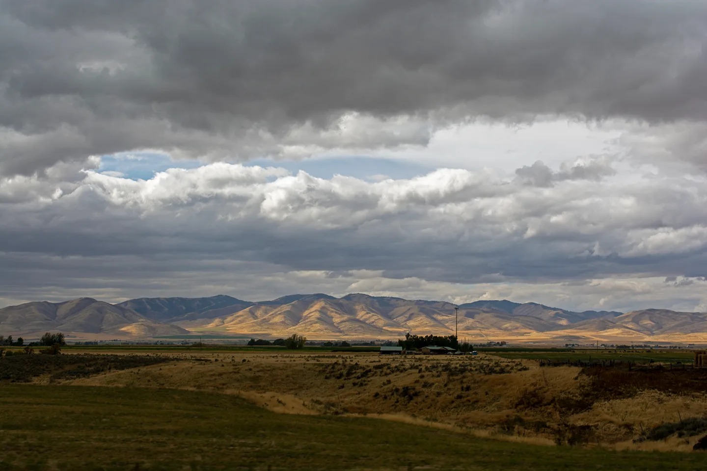 Idaho 2020 2