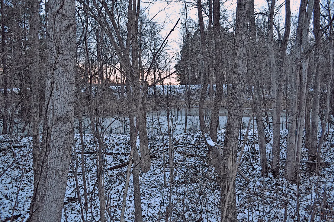 Snow 21