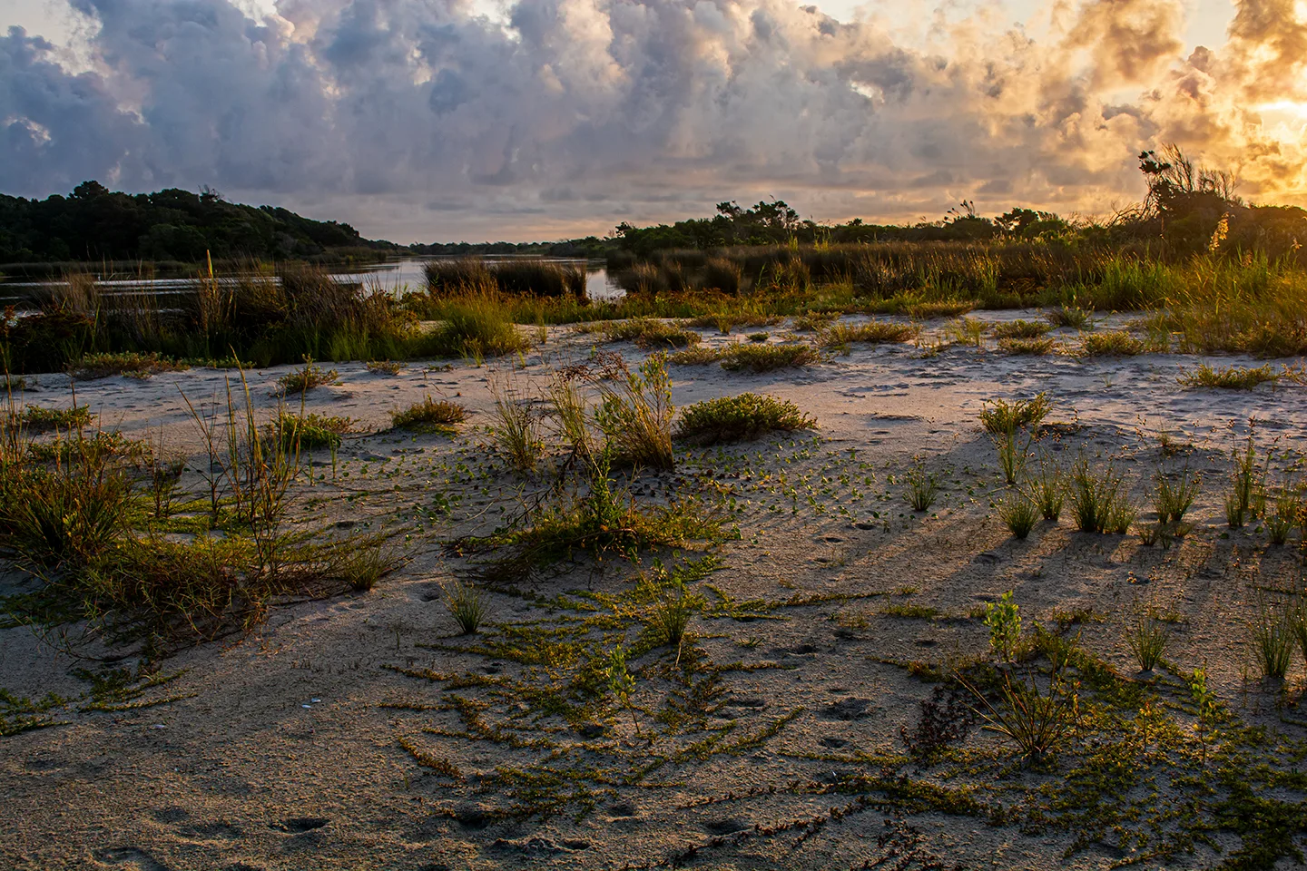 Sunrisehbsp 49