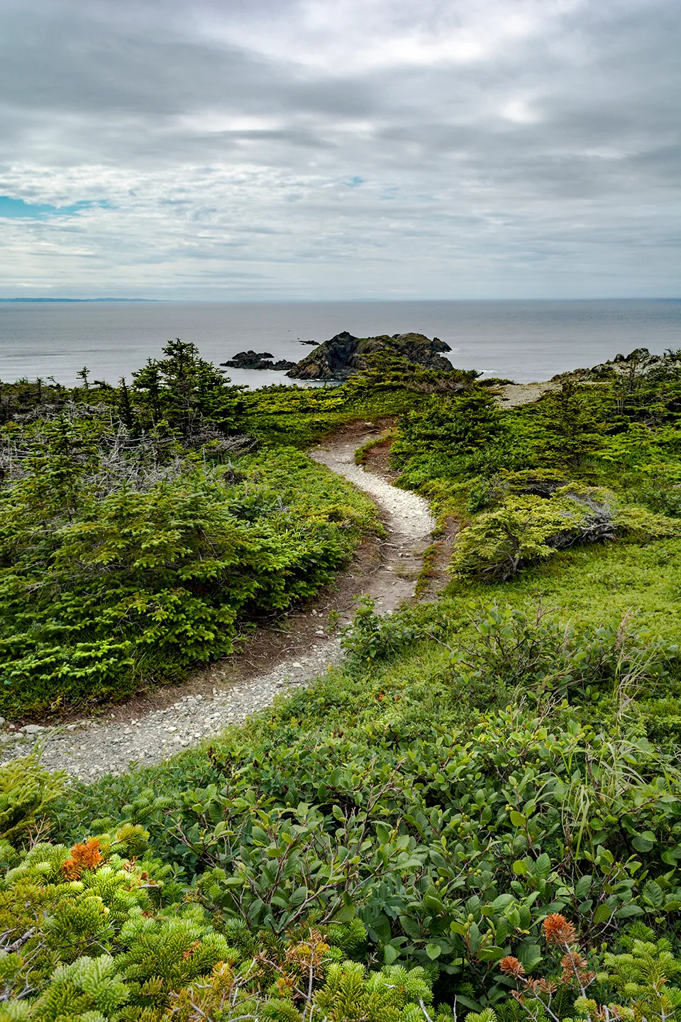 Twillingate 10