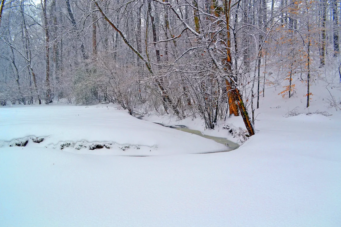 Yard Snow 4
