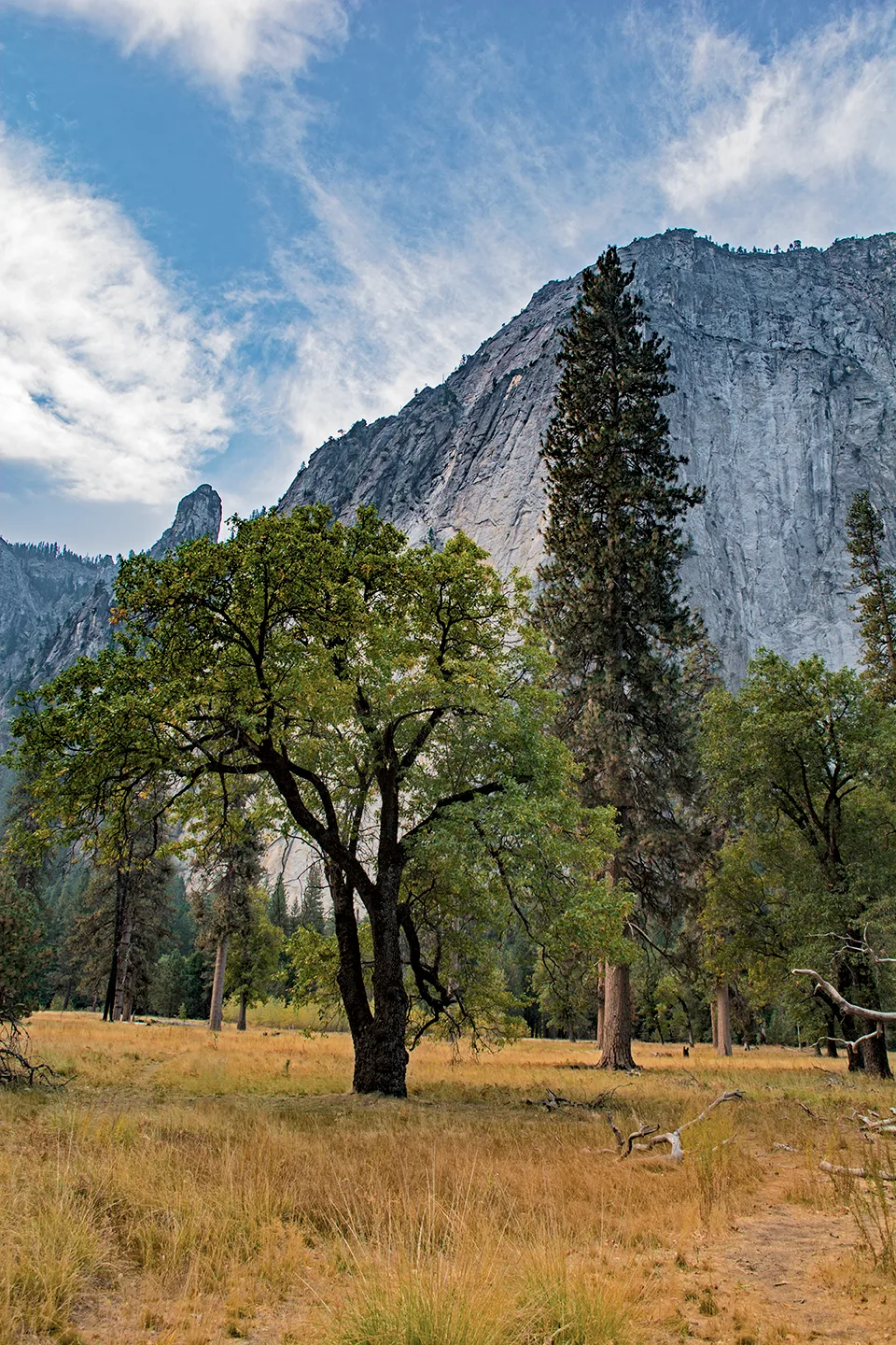 Yosemite 42