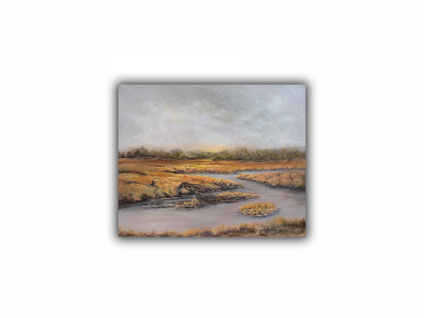 Yellowstone Marsh 1