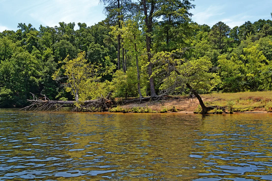 Yadkin-peedee 40
