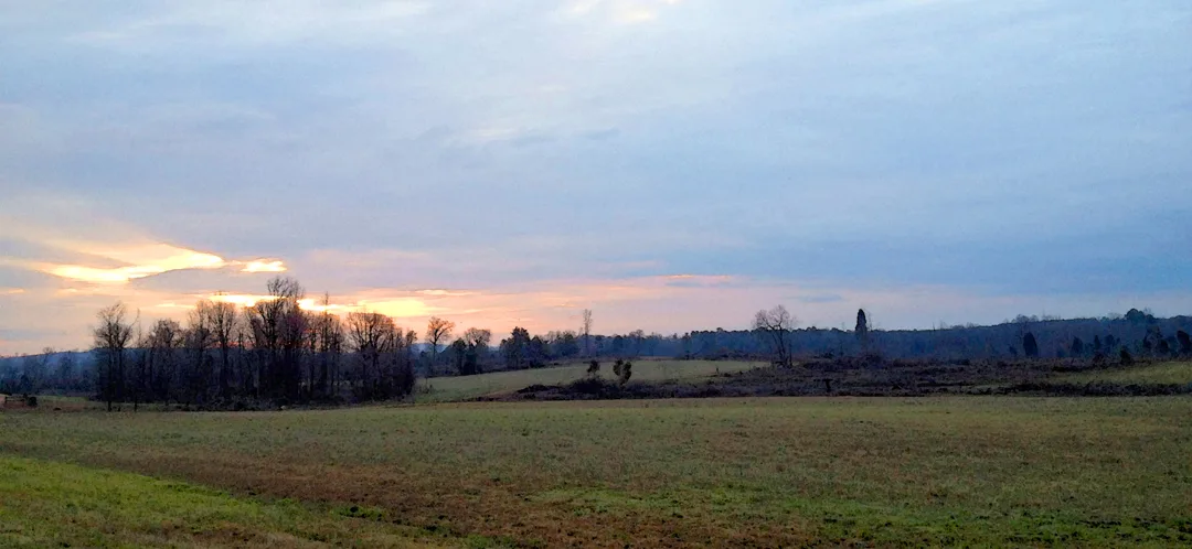 Uwharrie sunrise 2