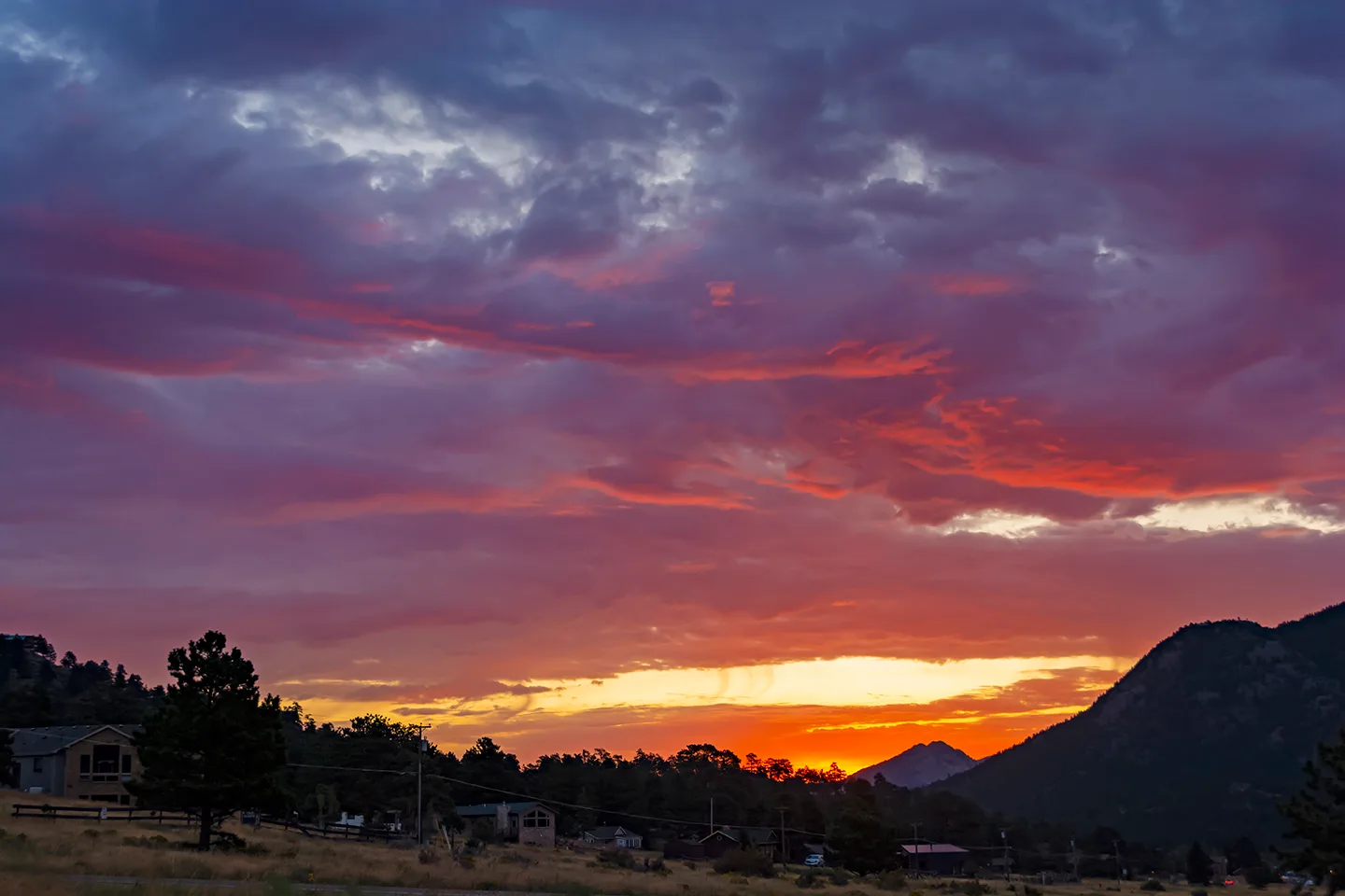 Estes 14
