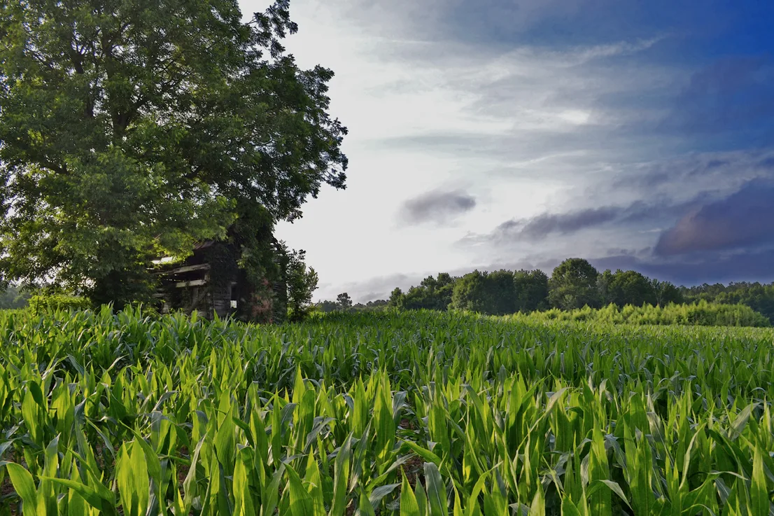 East Rowan 2