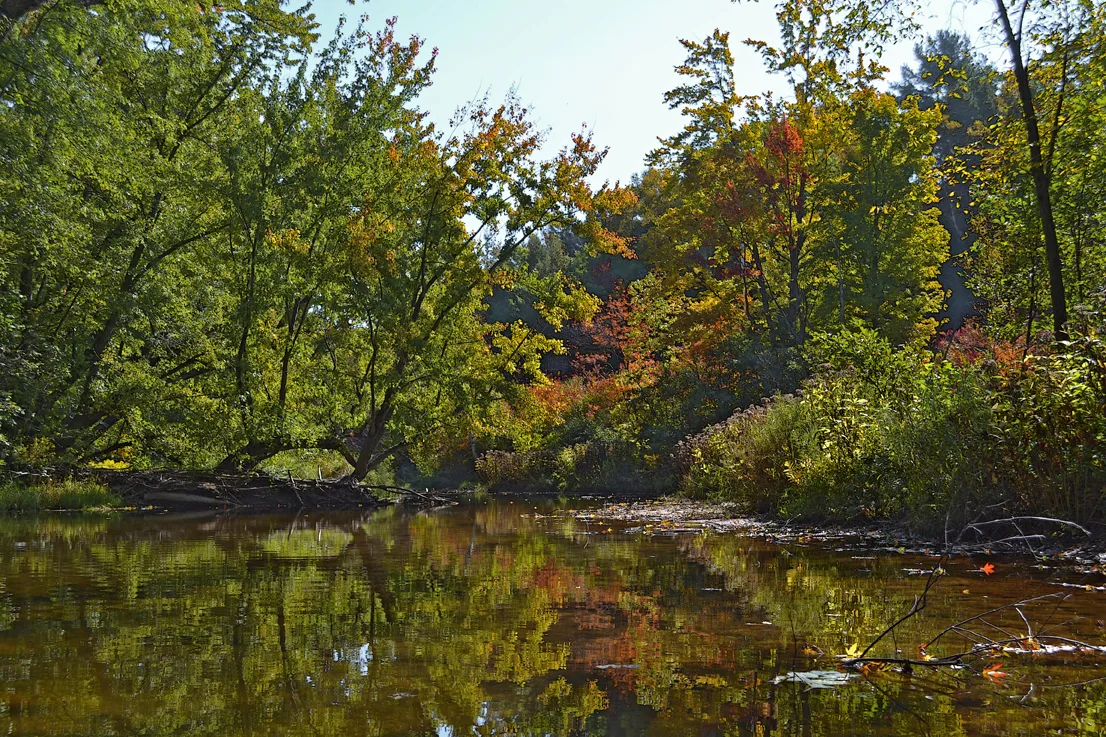 Kayak 1