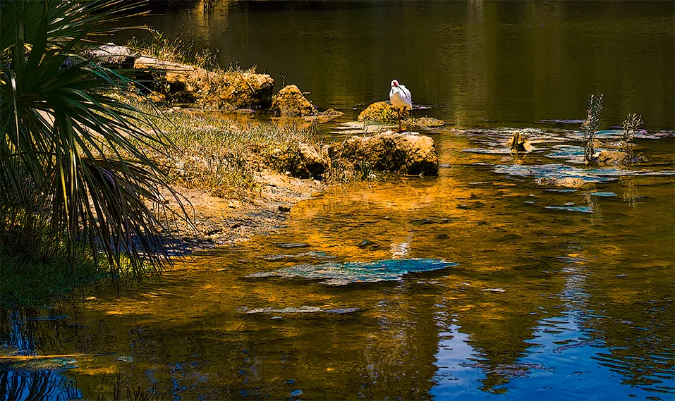 Crystalriver 3