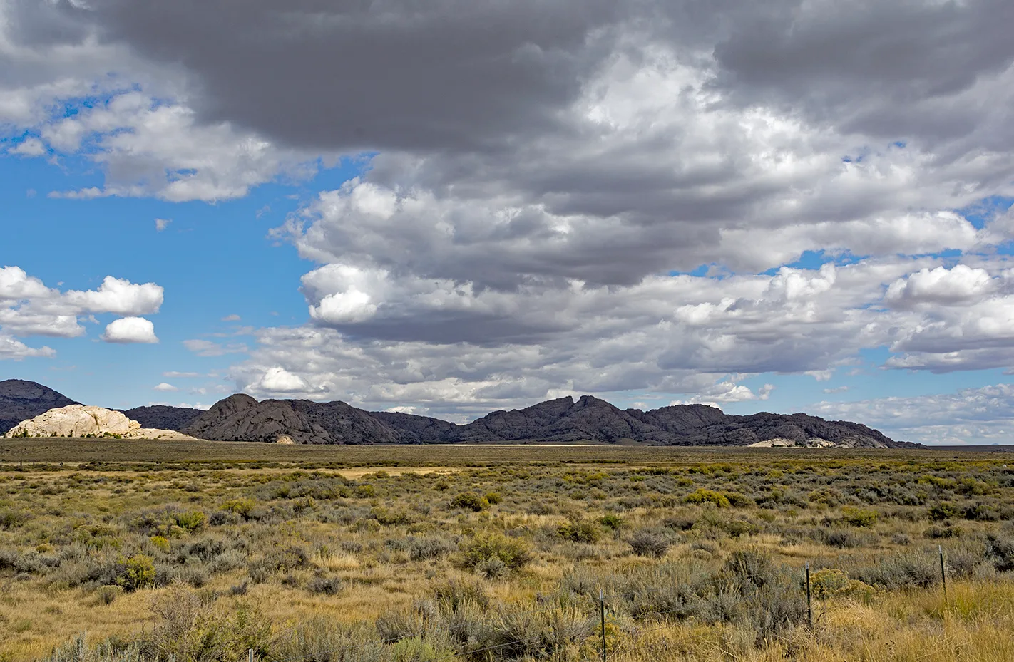 Wyoming 8