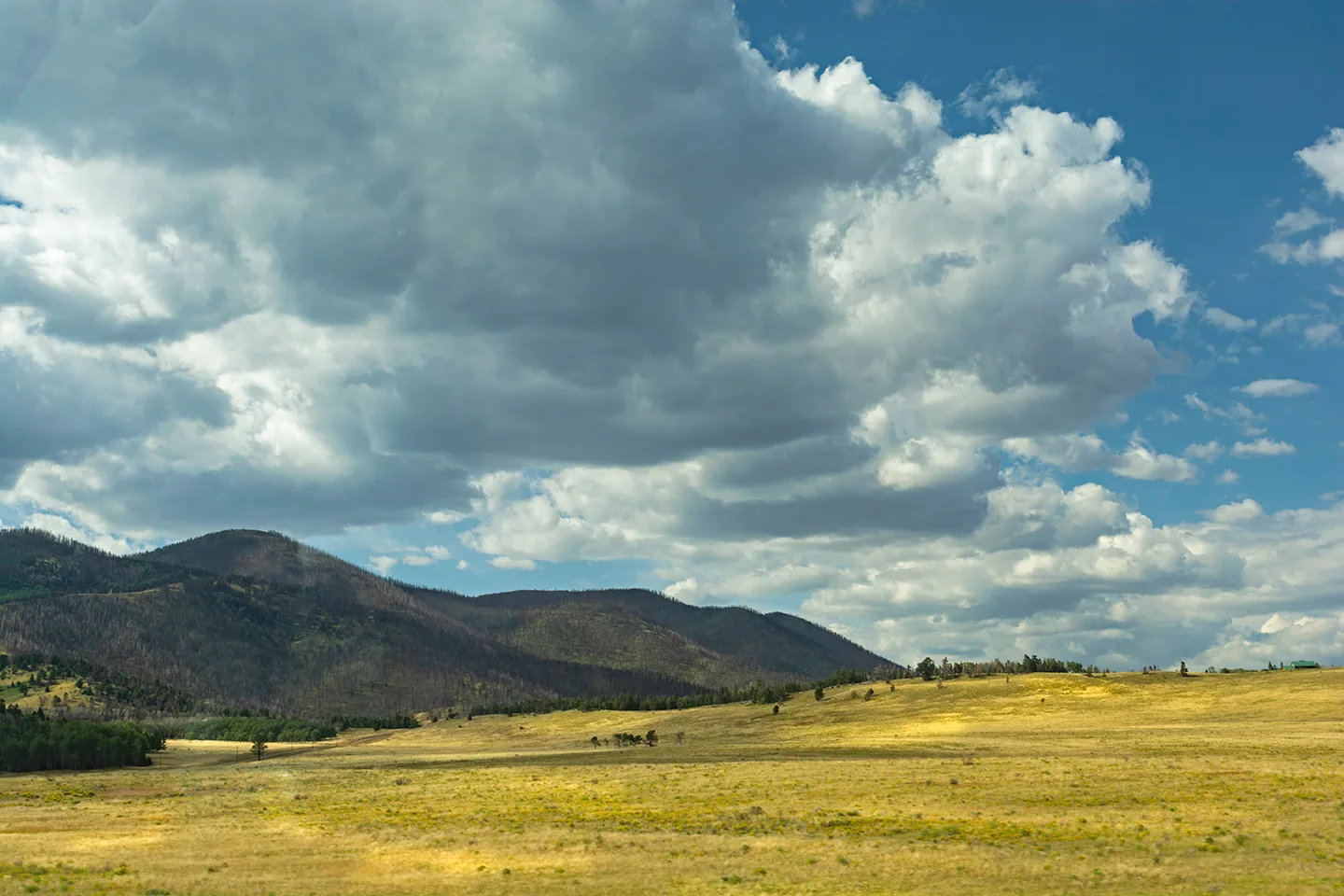 Colorado 2