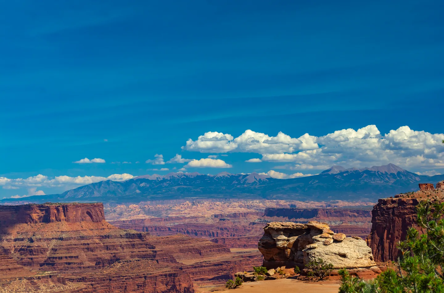 Canyonland 2019